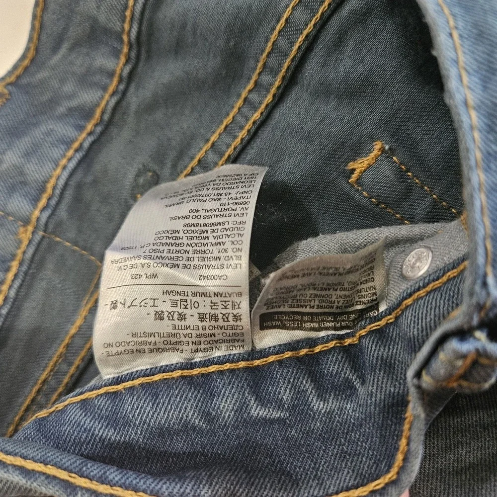 Levis levis 541